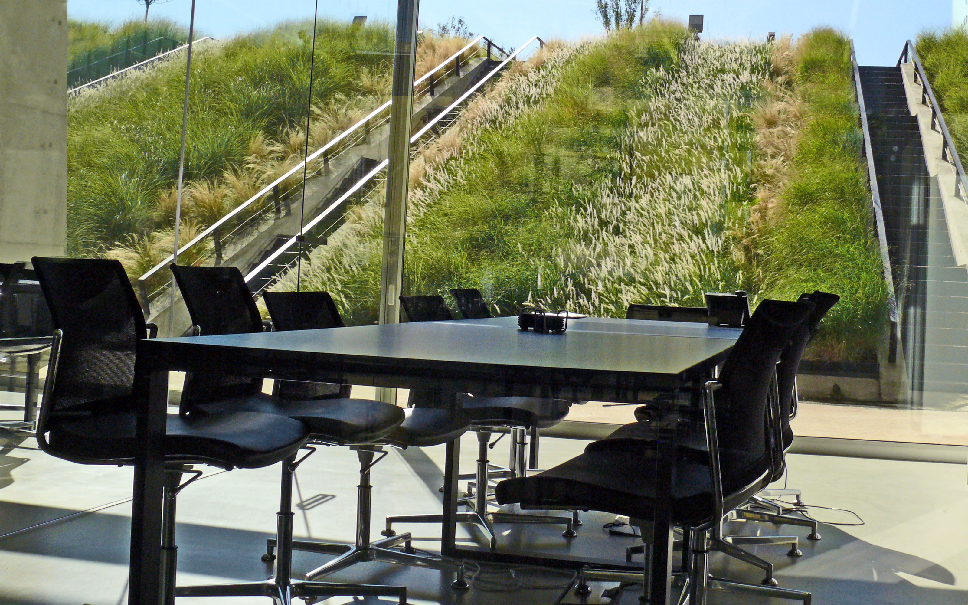 View from the conference room onto the pitched green roof